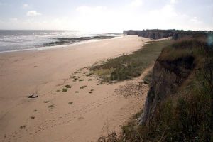 Sand Dunes at Botany Bay