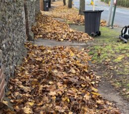 Fallen leaves on the ground next to a bin