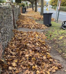Fallen leaves on the ground next to a bin