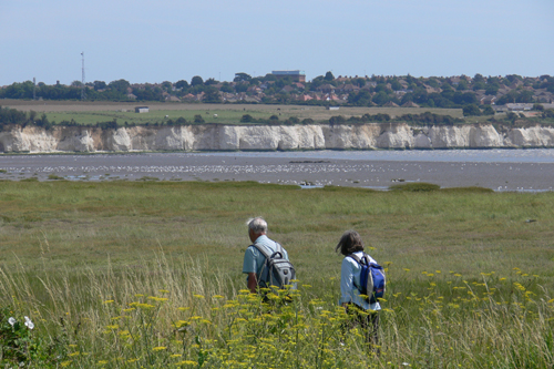 Green area with view of the white cliffs