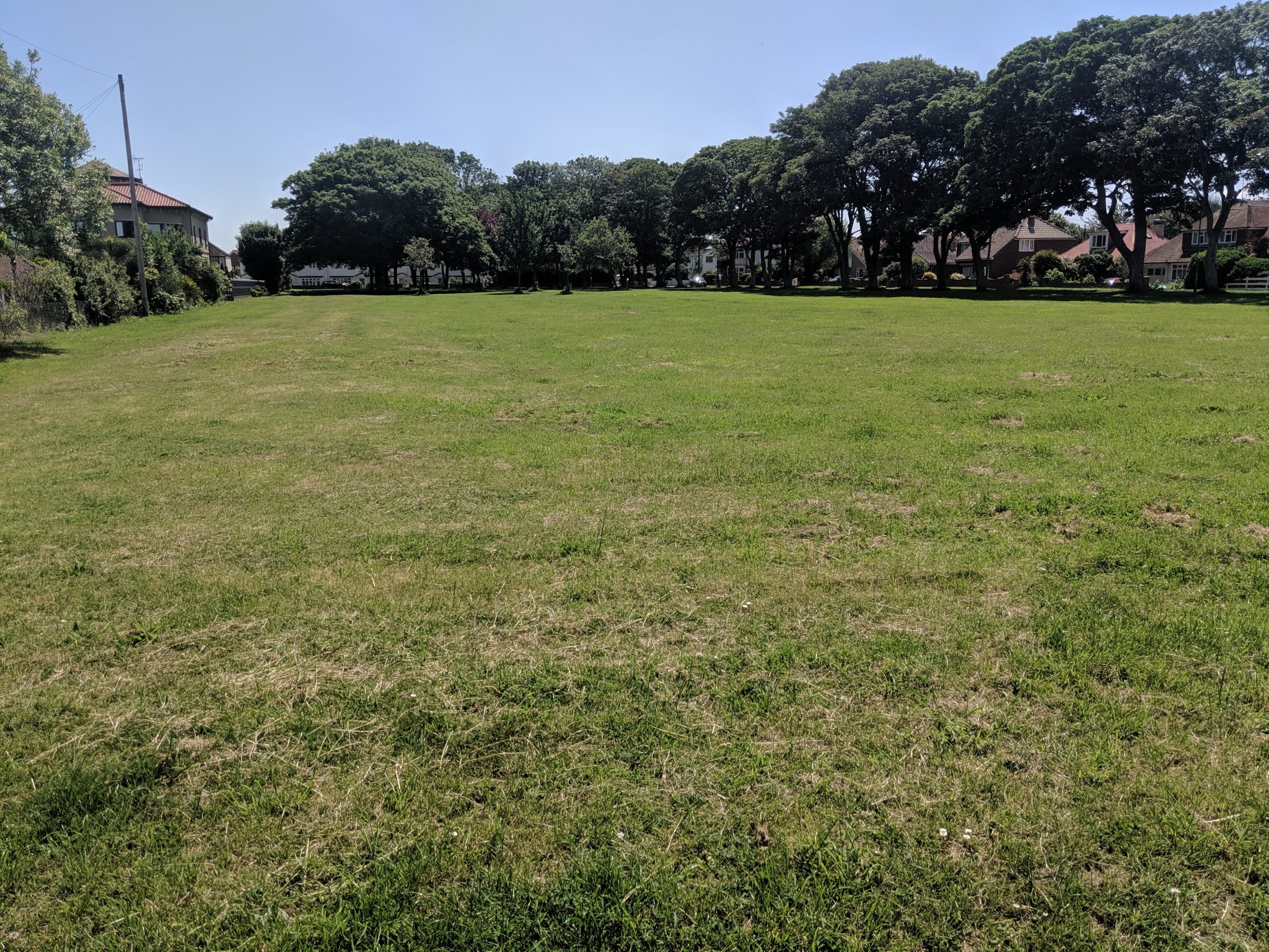 Green open space surrounded by trees