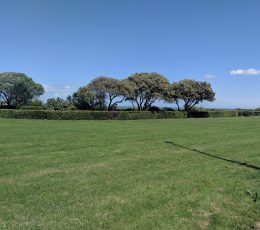 Green open space with enclosed area with trees