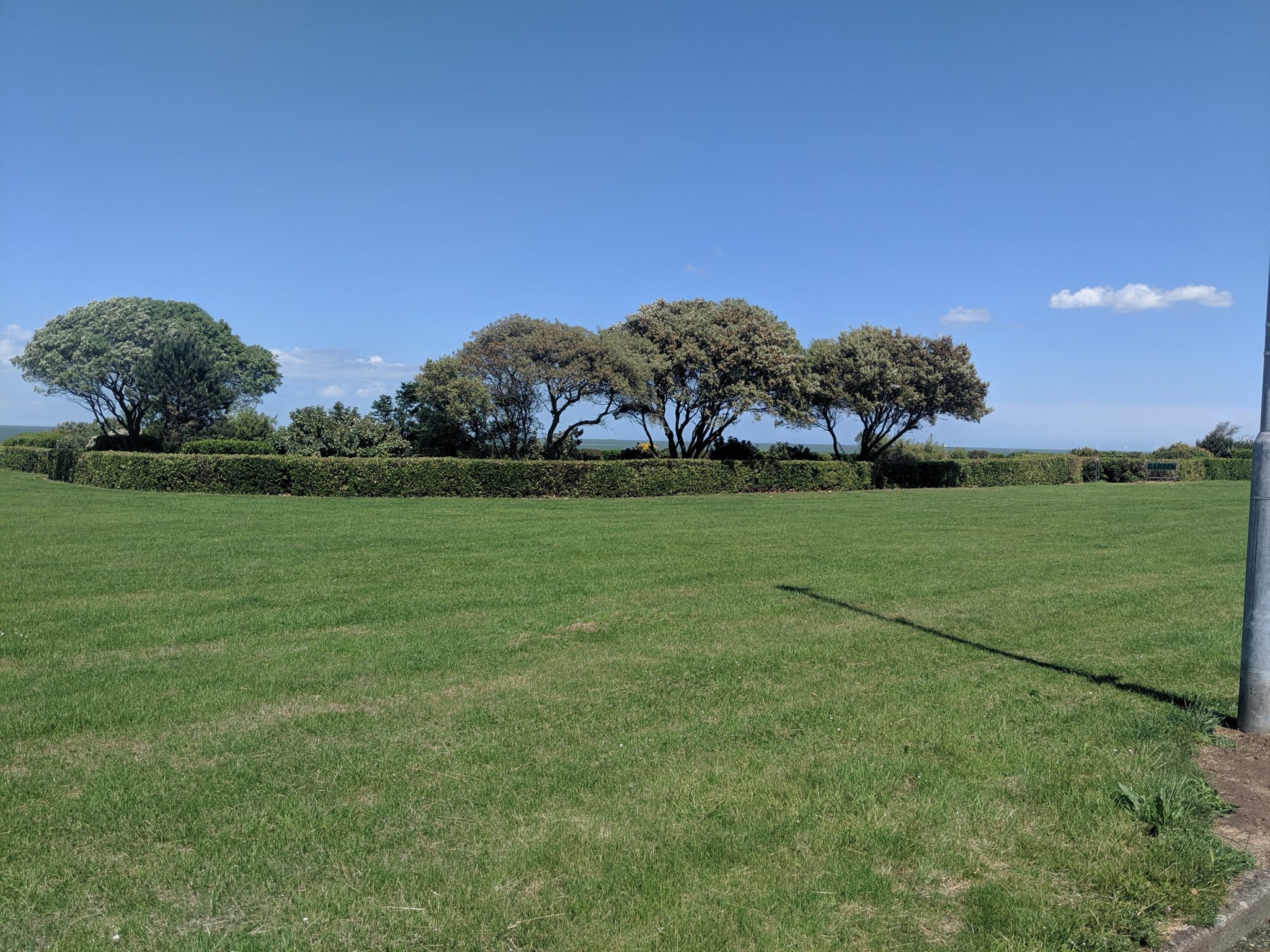 Green open space with enclosed area with trees