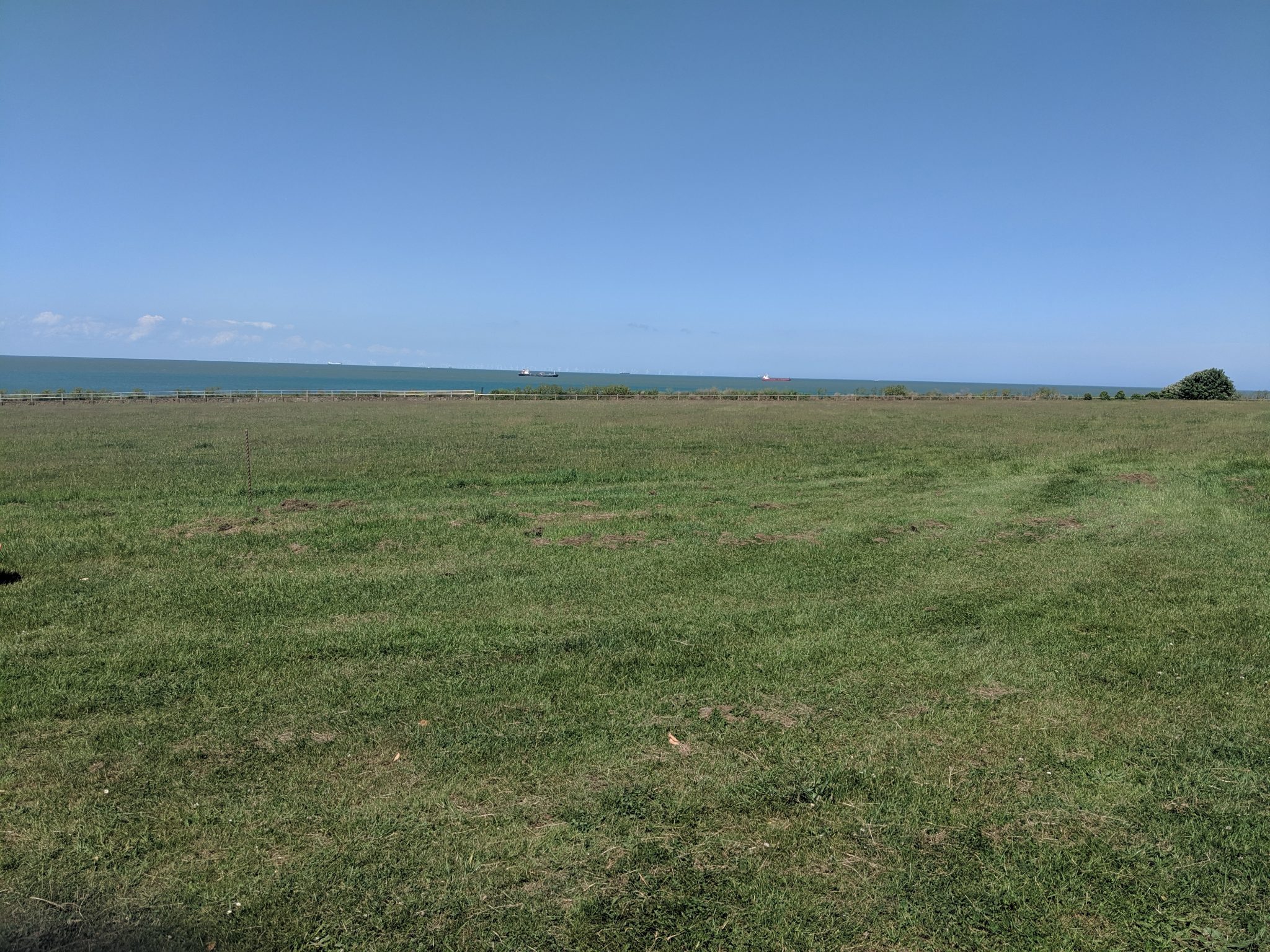 Large green open space at Palm Bay Green