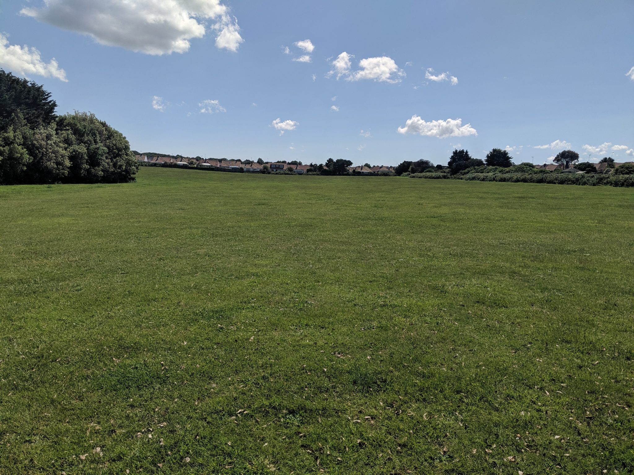 Large green open space area