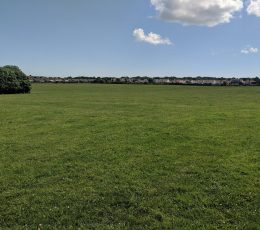 Large green open space area surrounded by residential properties