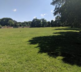 Large grass open space with a football goal surrounded by trees