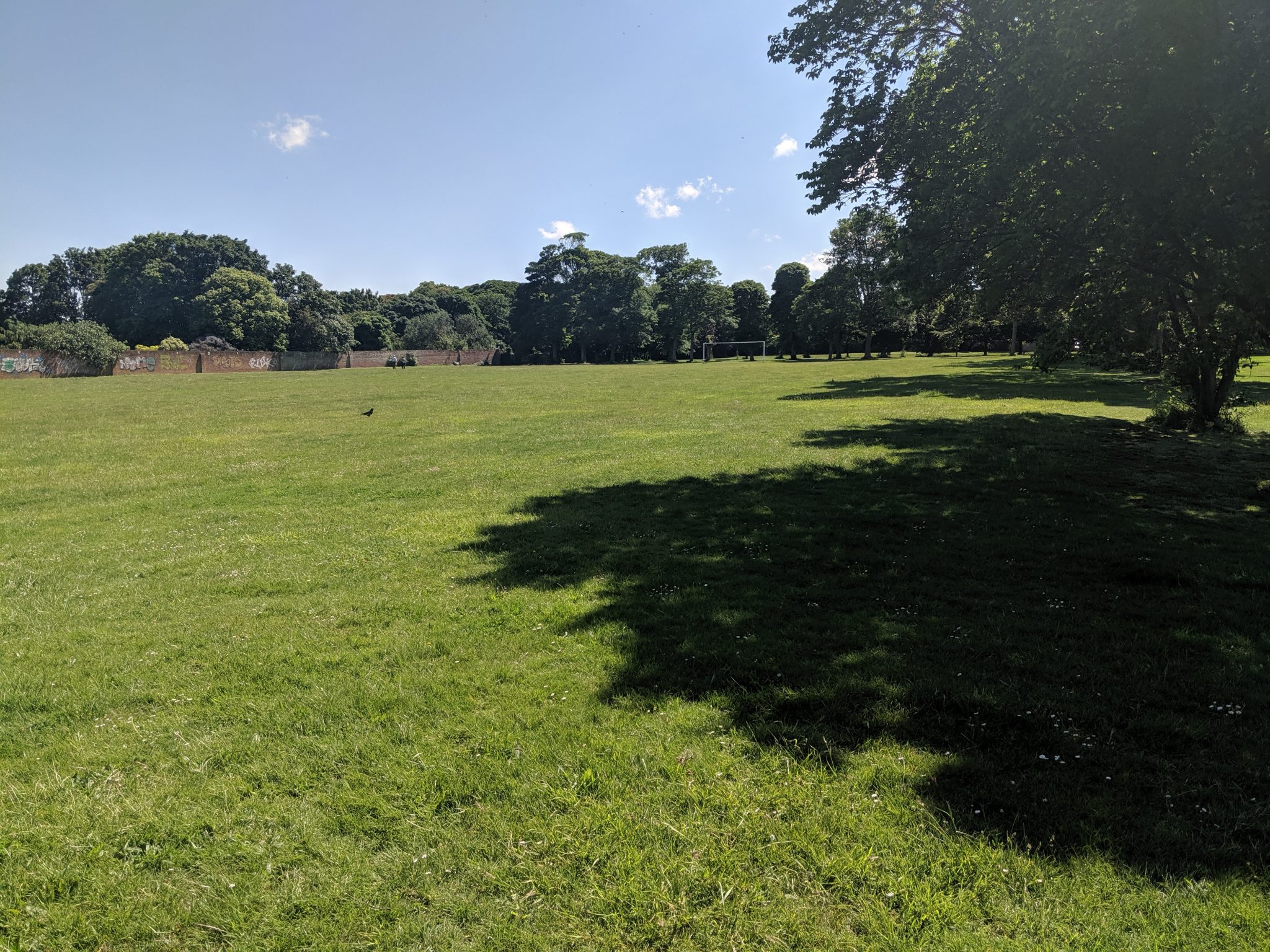 Large grass open space with a football goal surrounded by trees