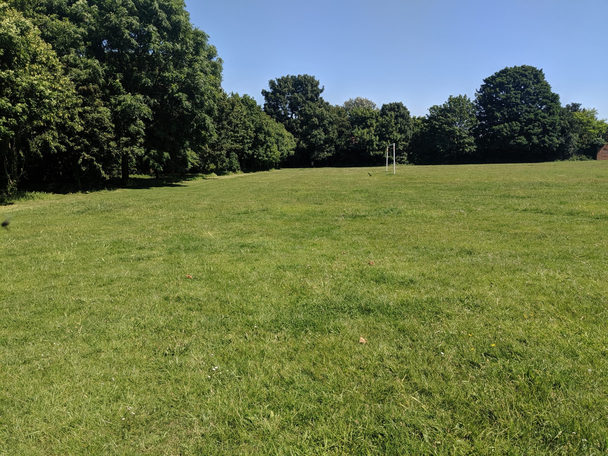 Large grass open space with a football goal surrounded by trees