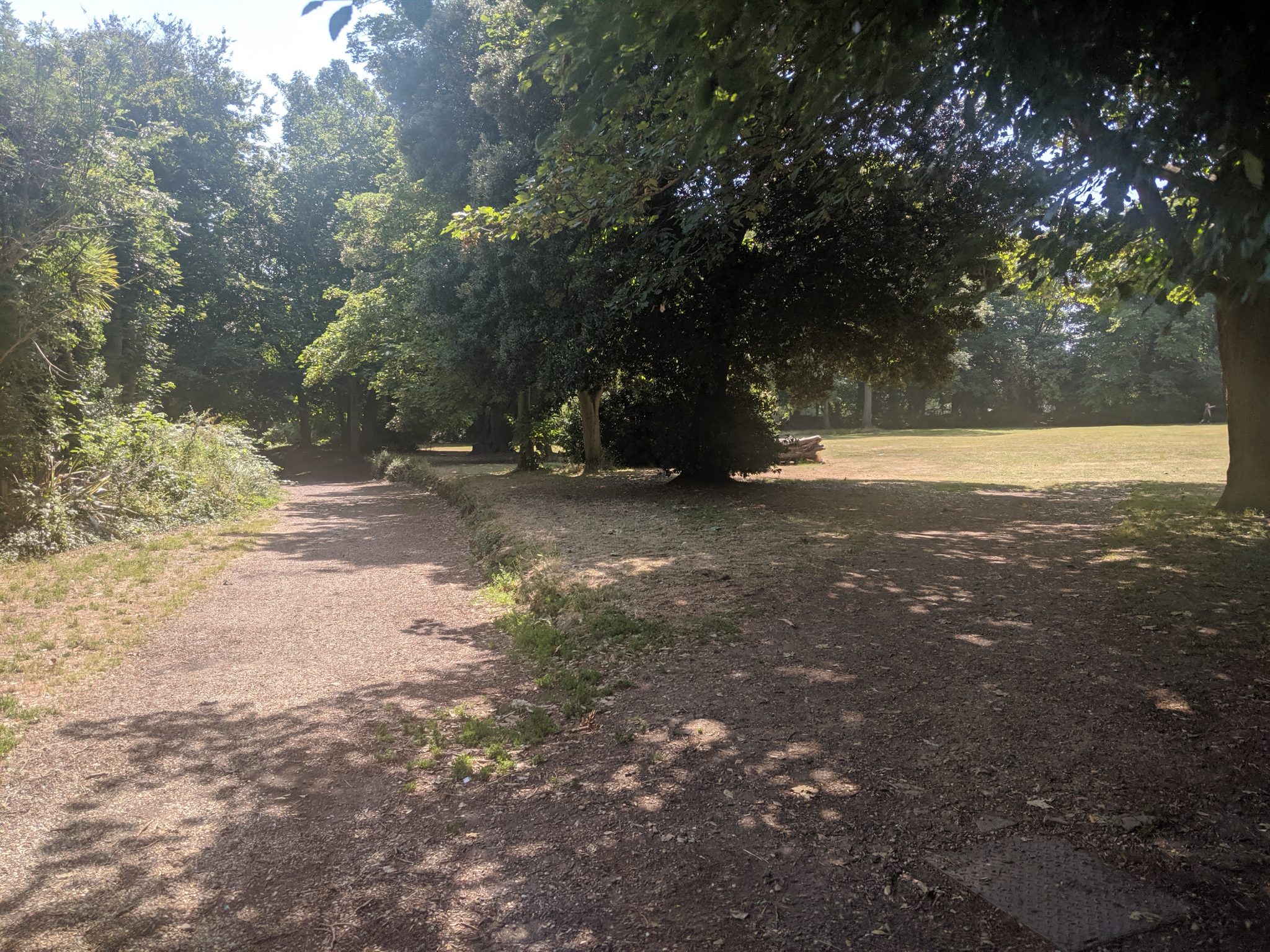 Large grassed area with a path running along the bottom at King George VI Park