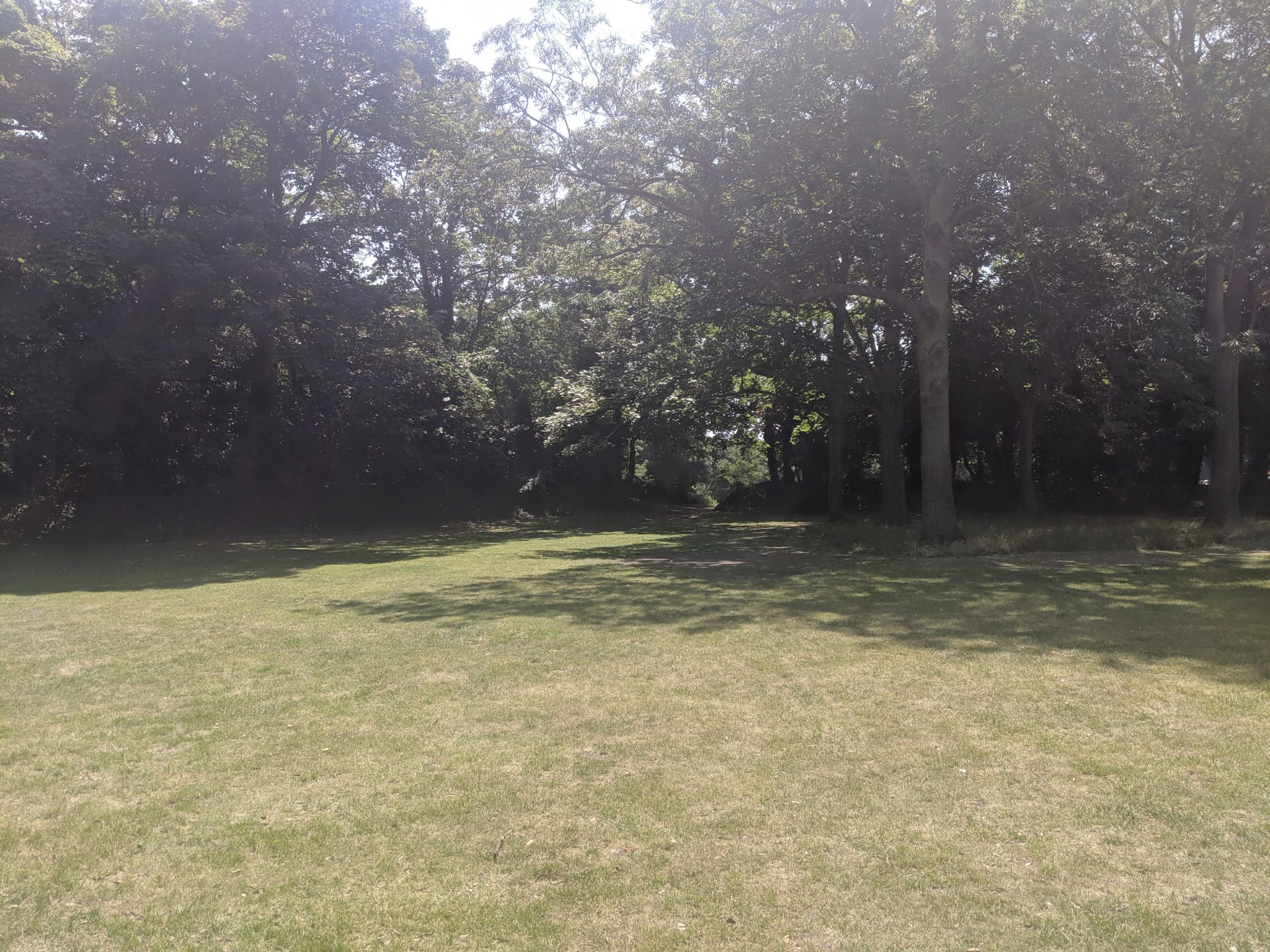 Large green open spaces separated by trees at King George VI Park
