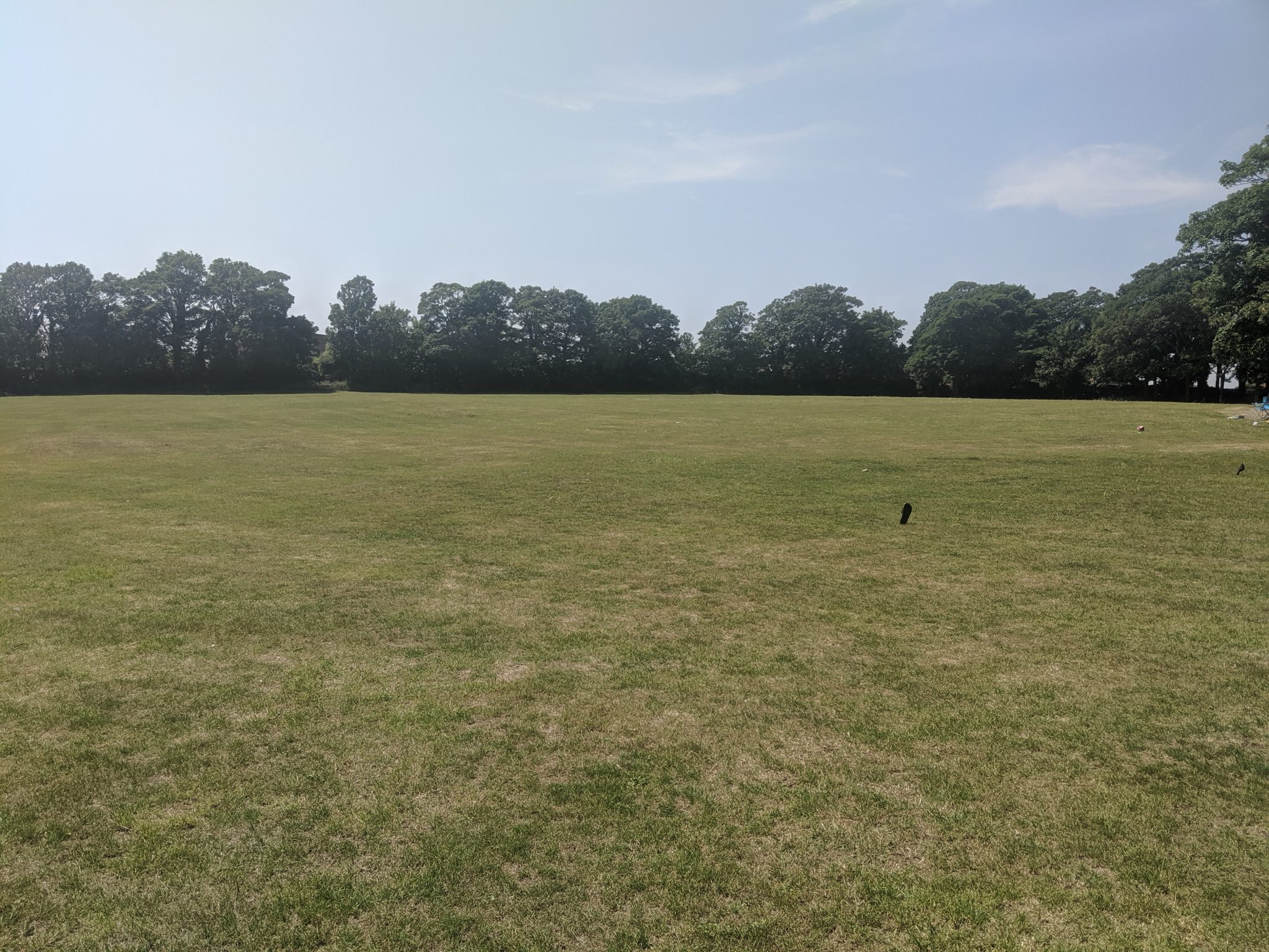 Large grassed area at King George VI Park