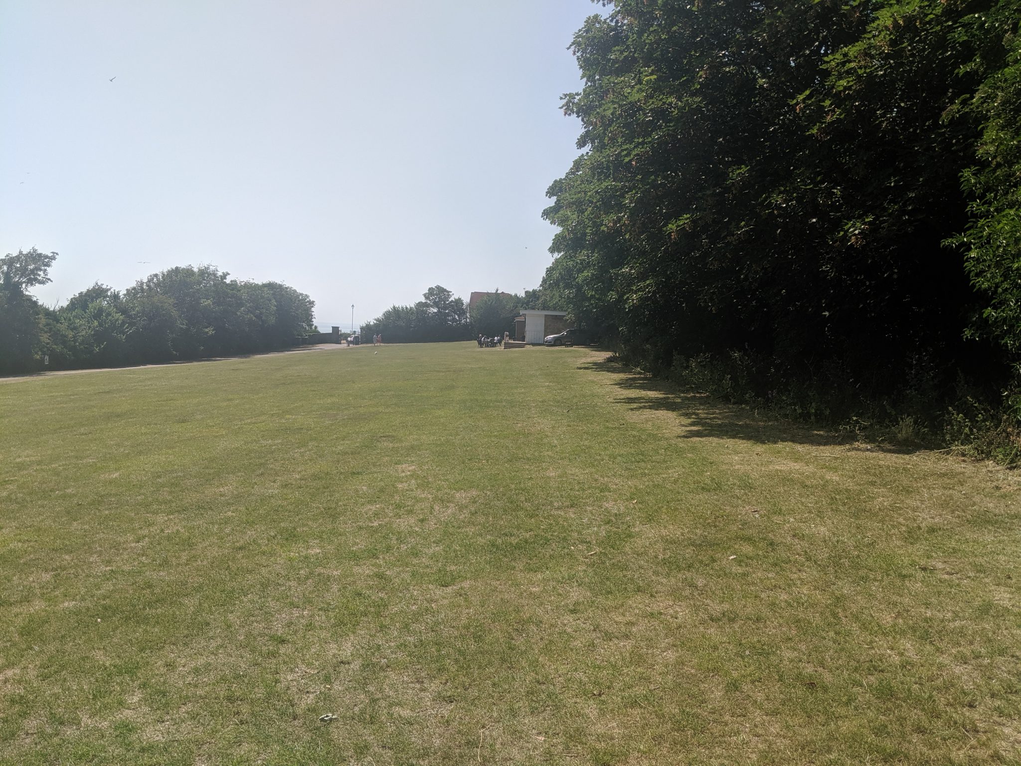 Large grassed area at King George VI Park