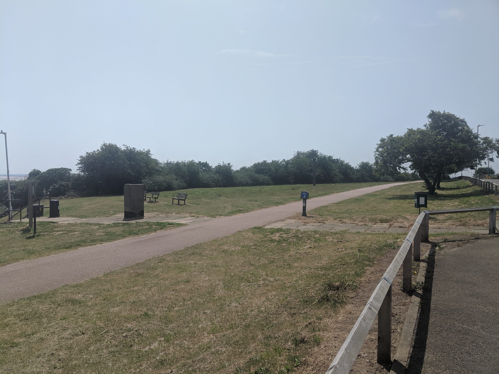 Green open space with benches and a few trees