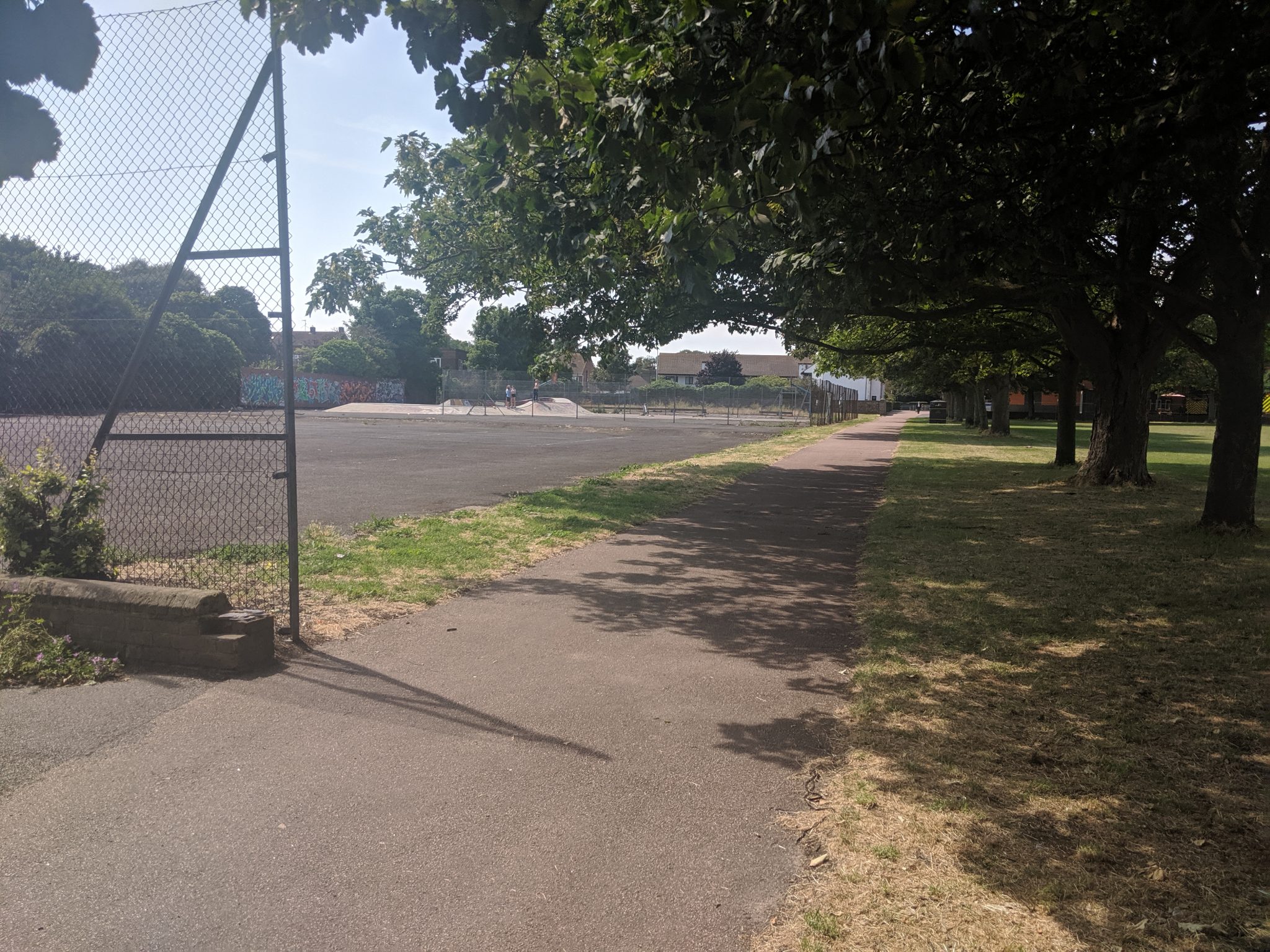 Skate park and basketball court