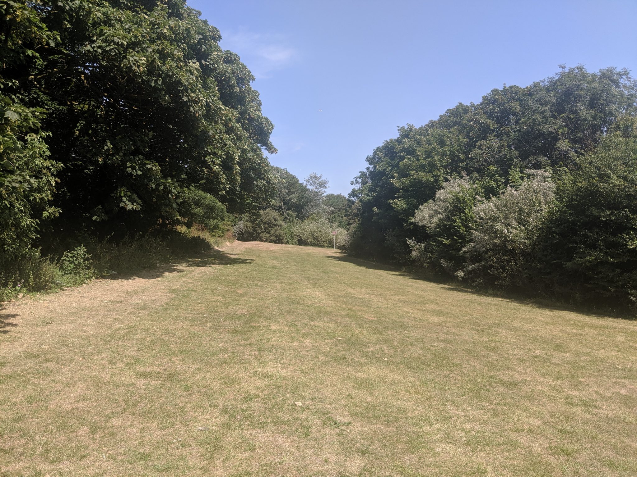 Large green open spaces separated by trees at King George VI Park