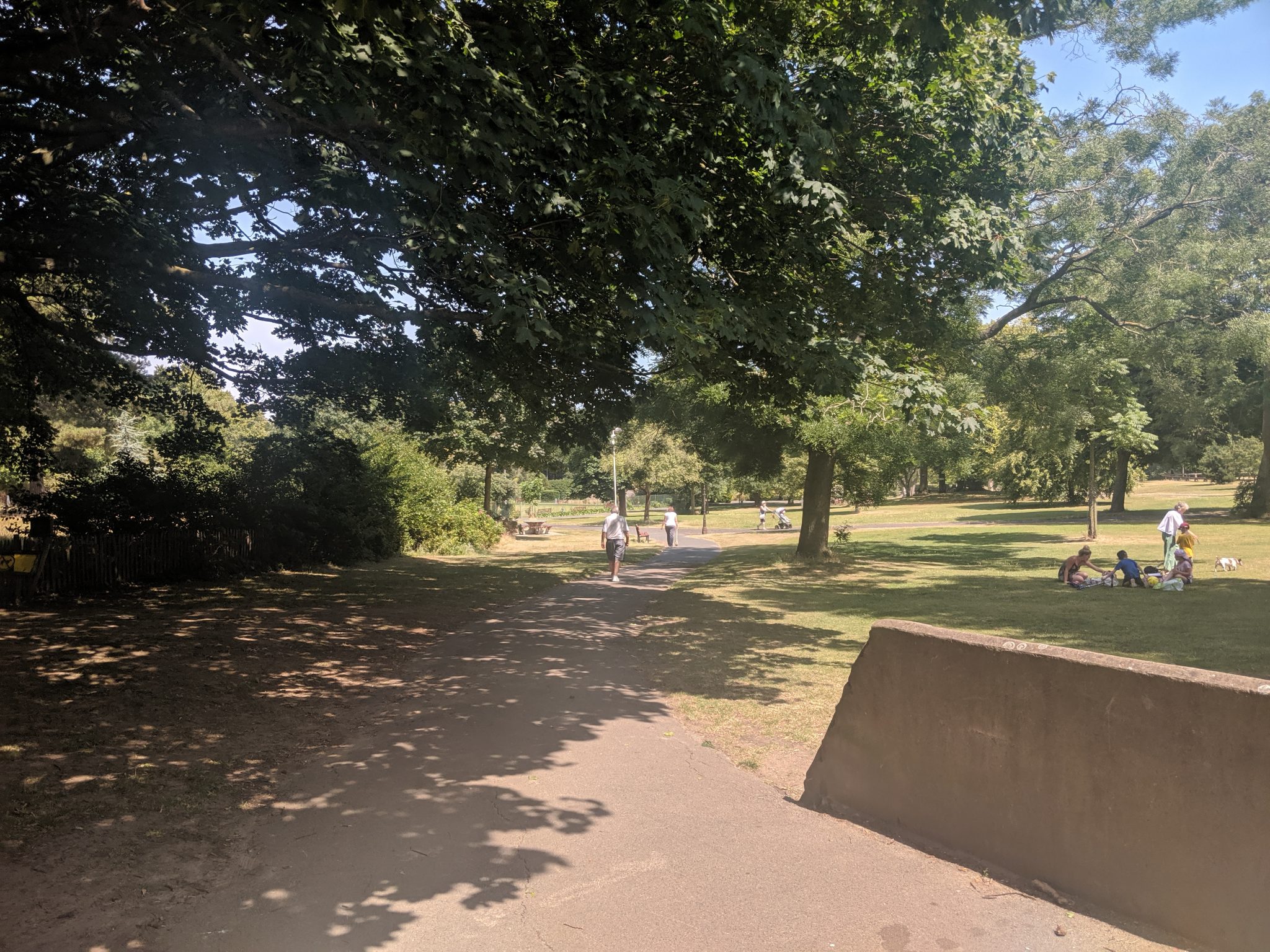 View of the green areas at Ellington Park