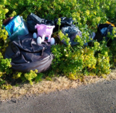 Flytipping at Pegwell