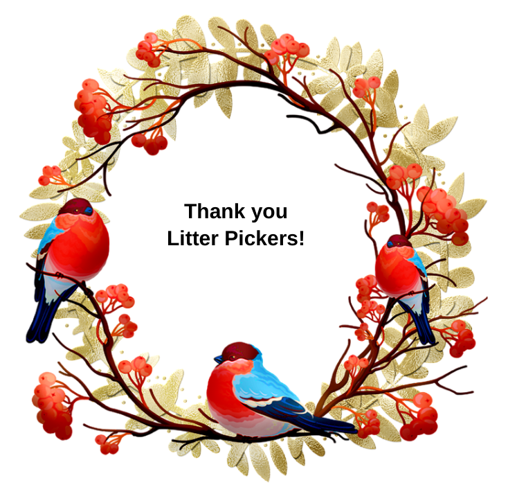 Christmas Wreath with 3 robins with a "Thank you Litter Pickers!" message in the middle of the wreath