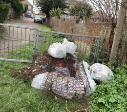 Litter collected at Coleman Park