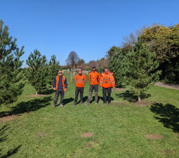 TDC Open Spaces team with newly planted trees