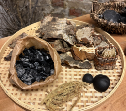 Close up on a tray of items that have been foraged.