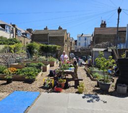 Adults tending to the community garden space, planting raised beds in the sunshine.