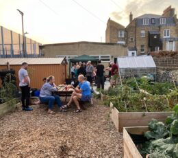 Group of mixed adults socialising in the community garden space at sunset, gathered standing and seated around garden table and bench
