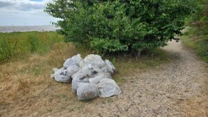Pegwell Bay litter pick, bags of rubbish collected