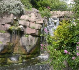 Photo of the madeira walk waterfall in Ramsgate, with flowering plants