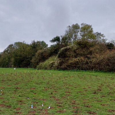 View of Dane Valley Woods, with grass in the foreground