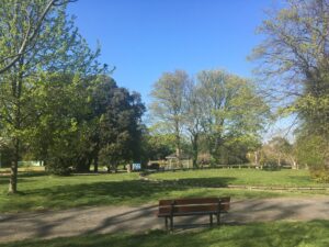 View of Ellington Park with trees and a bench in the foreground.