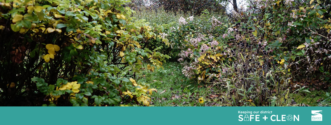 An overgrown garden with a banner that says keeping our district safe and clean with Thanet District Council's logo