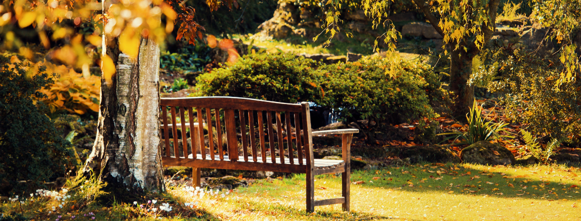 A memorial bench in a park