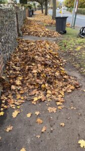 heaps of fallen leaves near wheelie bins ready for collection