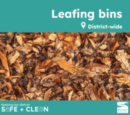 Fallen leaves, with the text reading leafing bins, district-wide