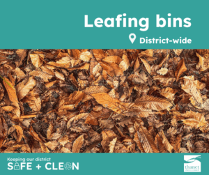 Fallen leaves, with the text reading leafing bins, district-wide