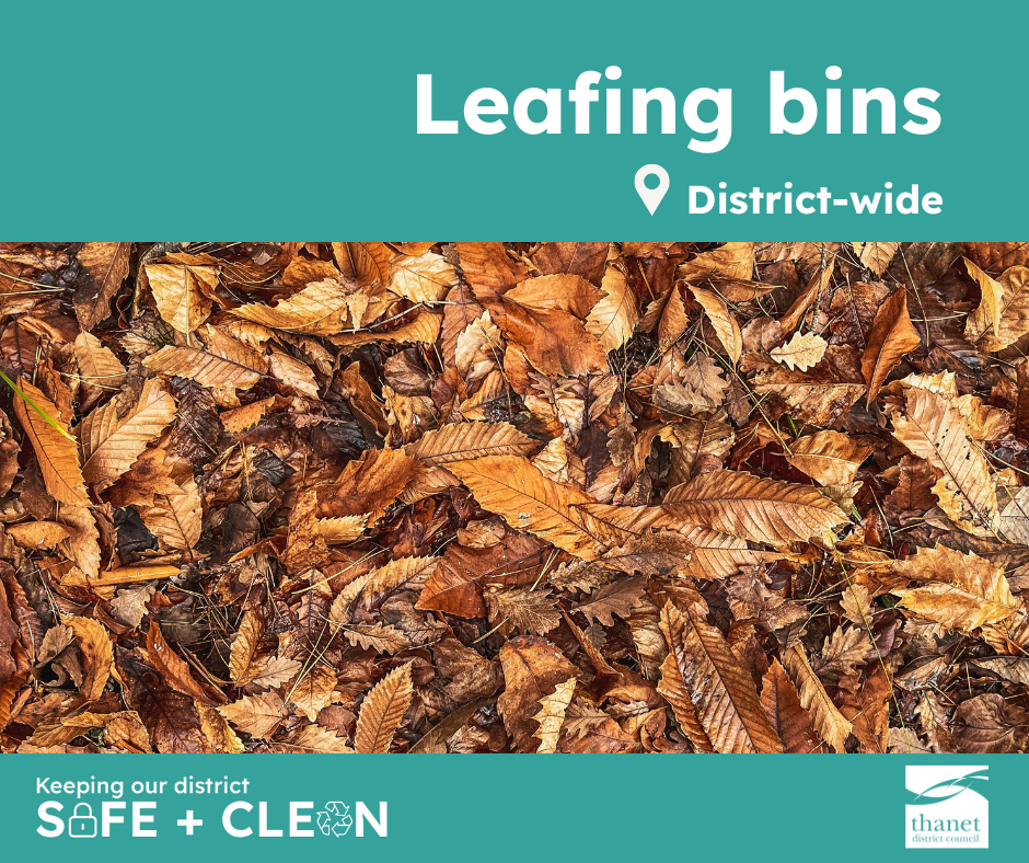 Fallen leaves, with the text reading leafing bins, district-wide