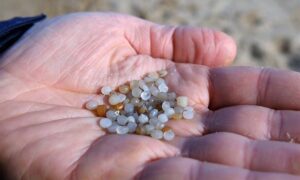 Marine Conservation Society - a handful of nurdles