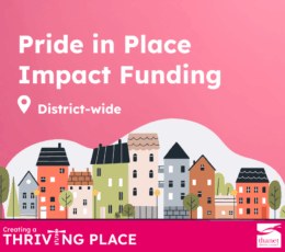 Illustration of a row of different houses. Text reads Pride in Place Impact Funding, district-wide.