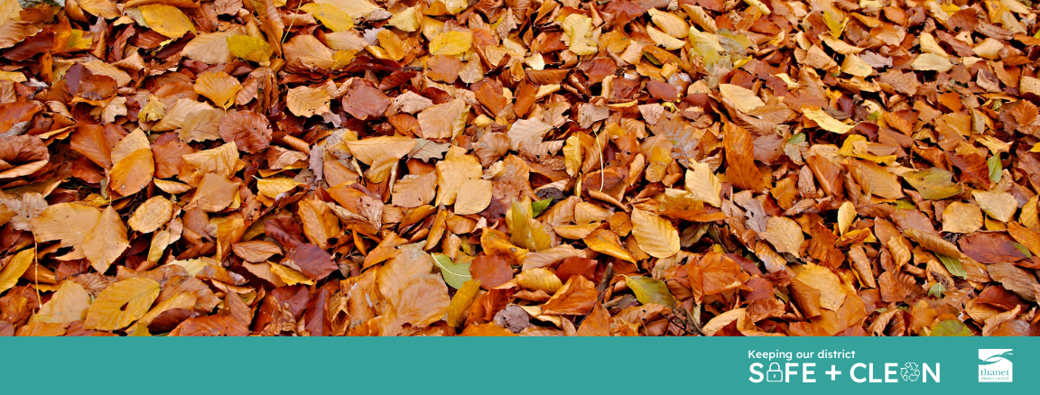 fallen leaves on the ground with keeping our district safe and clean written alongside Thanet District Council's logo