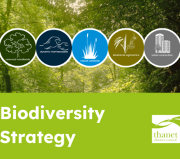 Forest background with icons for woodlands, seas, wetlands, farming, and urban areas. Overlay of bight green colour block. Text: Biodiversity Strategy in white. White Thanet District Council to the right of the text