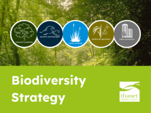 Forest background with icons for woodlands, seas, wetlands, farming, and urban areas. Overlay of bight green colour block. Text: Biodiversity Strategy in white. White Thanet District Council to the right of the text