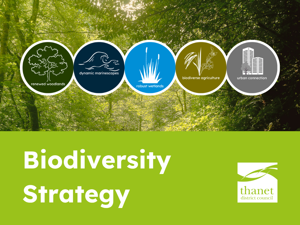 Forest background with icons for woodlands, seas, wetlands, farming, and urban areas. Overlay of bight green colour block. Text: Biodiversity Strategy in white. White Thanet District Council to the right of the text