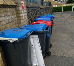 "A row of wheelie bins with blue and red lids lined up against a brick wall on a pavement."