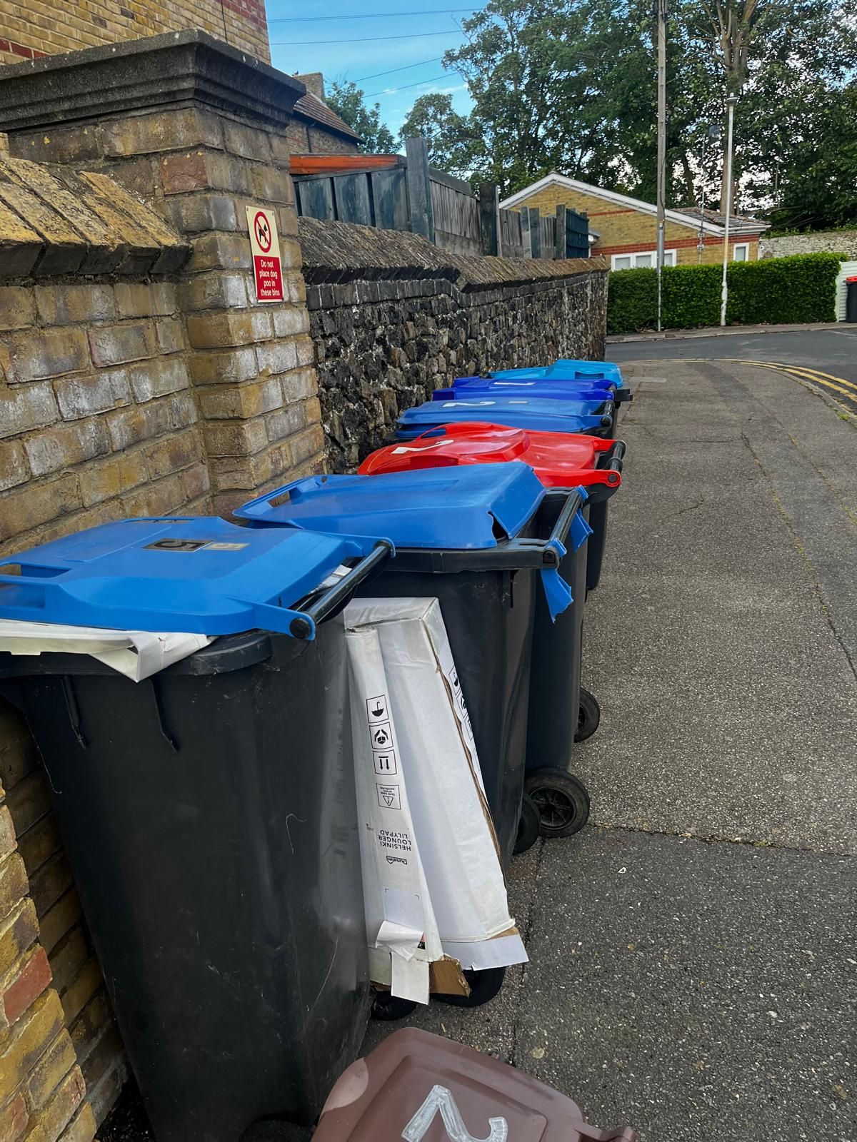 "A row of wheelie bins with blue and red lids lined up against a brick wall on a pavement."